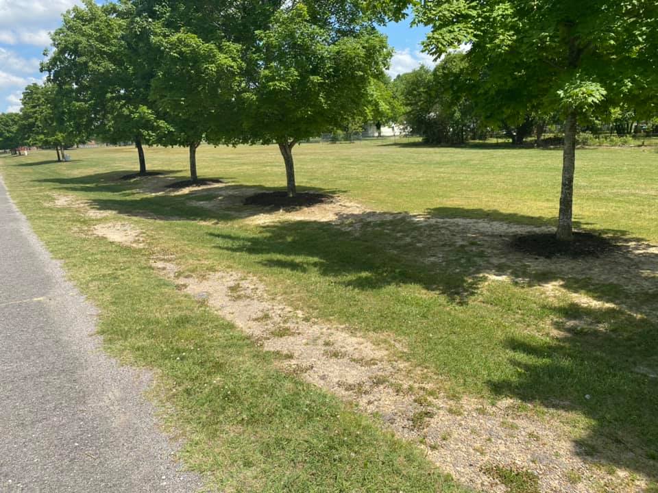 Boaz Parks & Recreation Boaz Park & Recreation